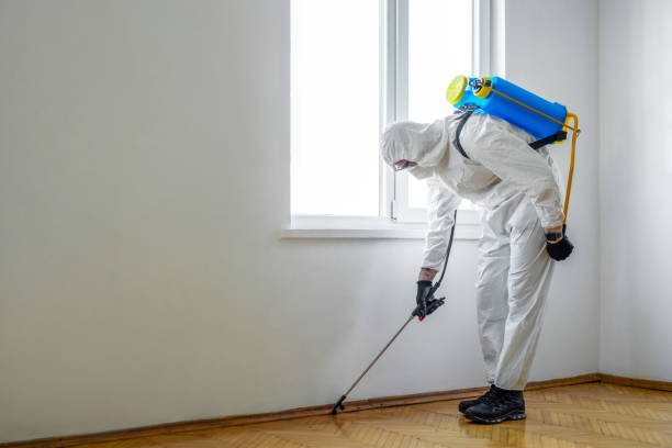 Best Cockroach Control Services  in Vla Park, IL
