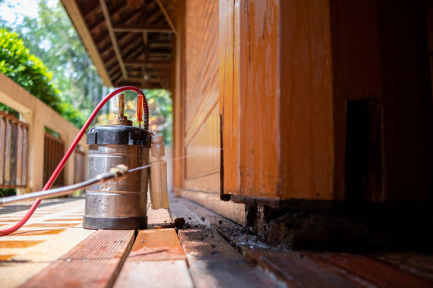 Best Best Pest Control Companies  in Vla Park, IL