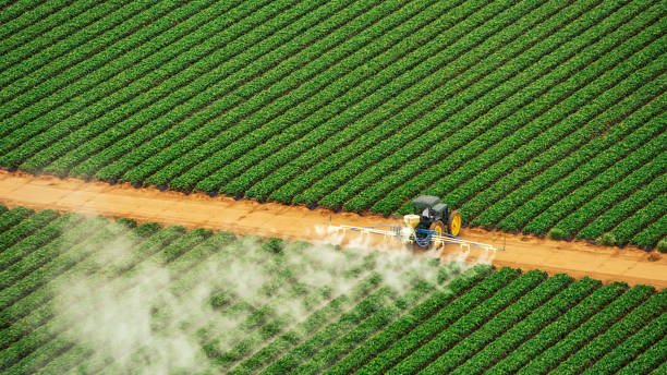 Best Commercial Pest Control Services  in Vla Park, IL