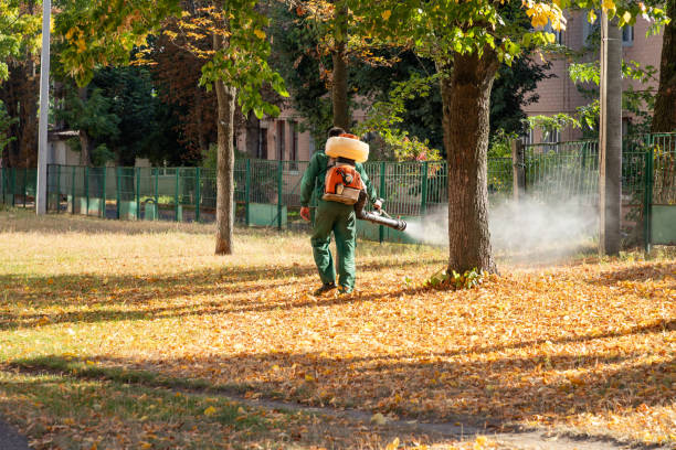Best Emergency Pest Control  in Vla Park, IL