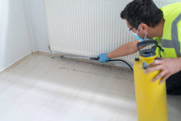 Best Wasp Removal Services  in Vla Park, IL